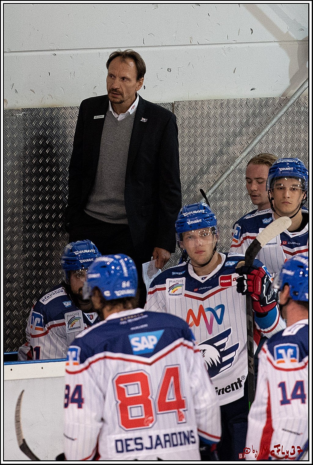 PENNY DEL;  Koelner Haie - Adler Mannheim; Koeln, 19.08.2021